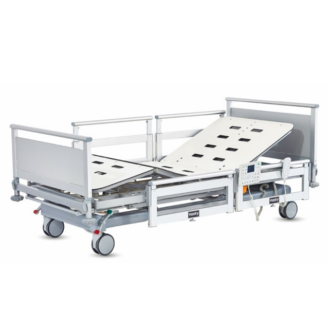 Function Electric Bed